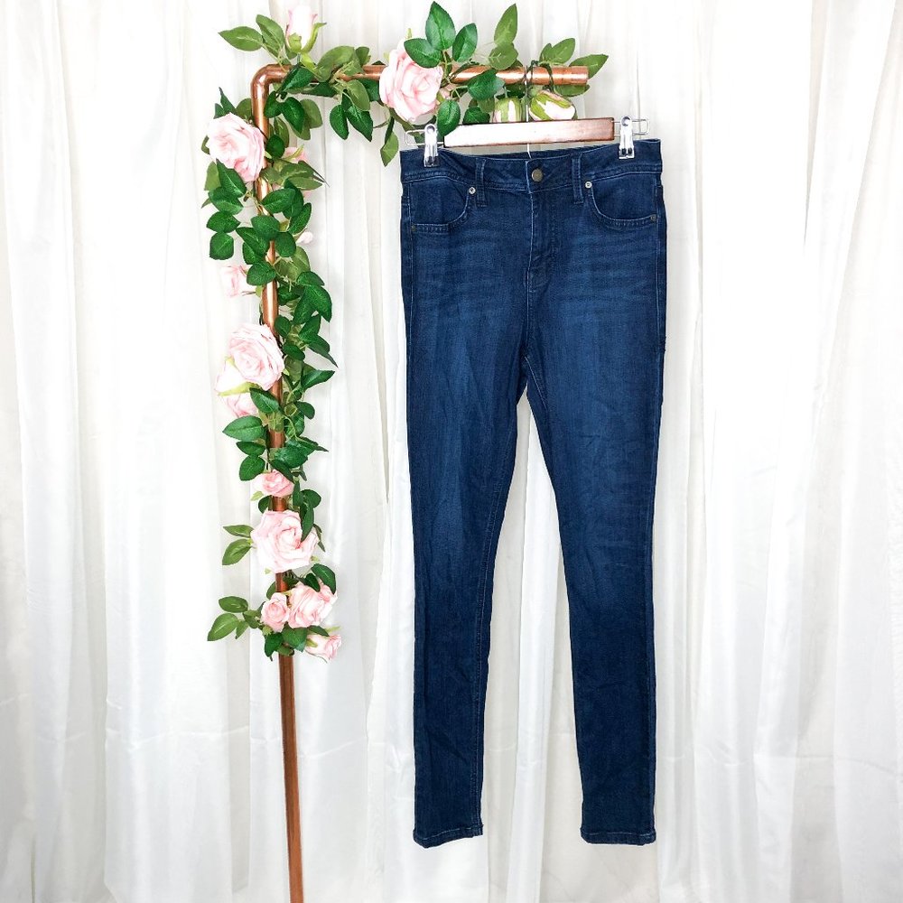 3/$30 Level 99 Tanya High Rise Skinny Jean